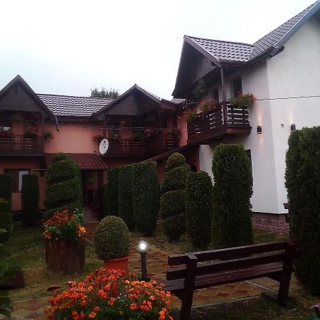 Pensiunea Denisa Sacalusesti Bagian luar foto