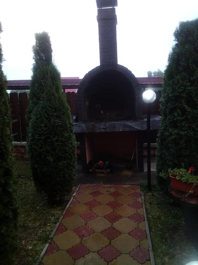 Pensiunea Denisa Sacalusesti Bagian luar foto