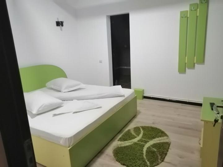 Pensiunea Denisa Sacalusesti Bagian luar foto